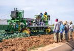 farm worker