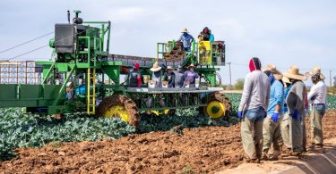 farm worker